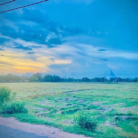 Coconut Island Yala Safari Place ทิซซามาฮารามา ภายนอก รูปภาพ