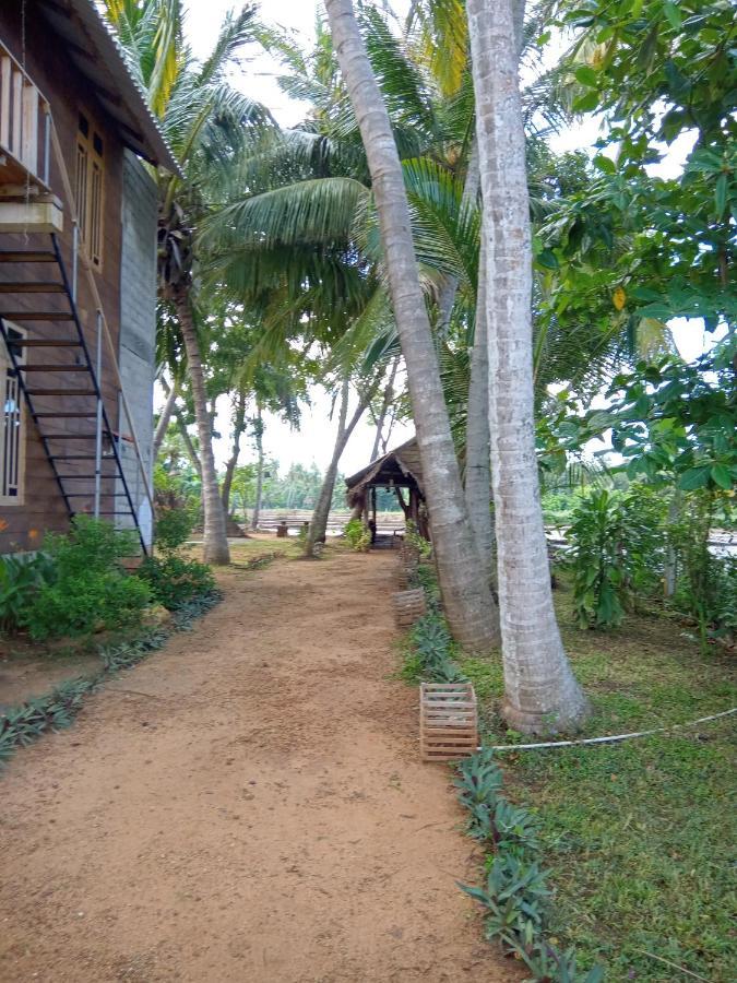 Coconut Island Yala Safari Place ทิซซามาฮารามา ภายนอก รูปภาพ