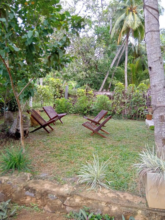Coconut Island Yala Safari Place ทิซซามาฮารามา ภายนอก รูปภาพ
