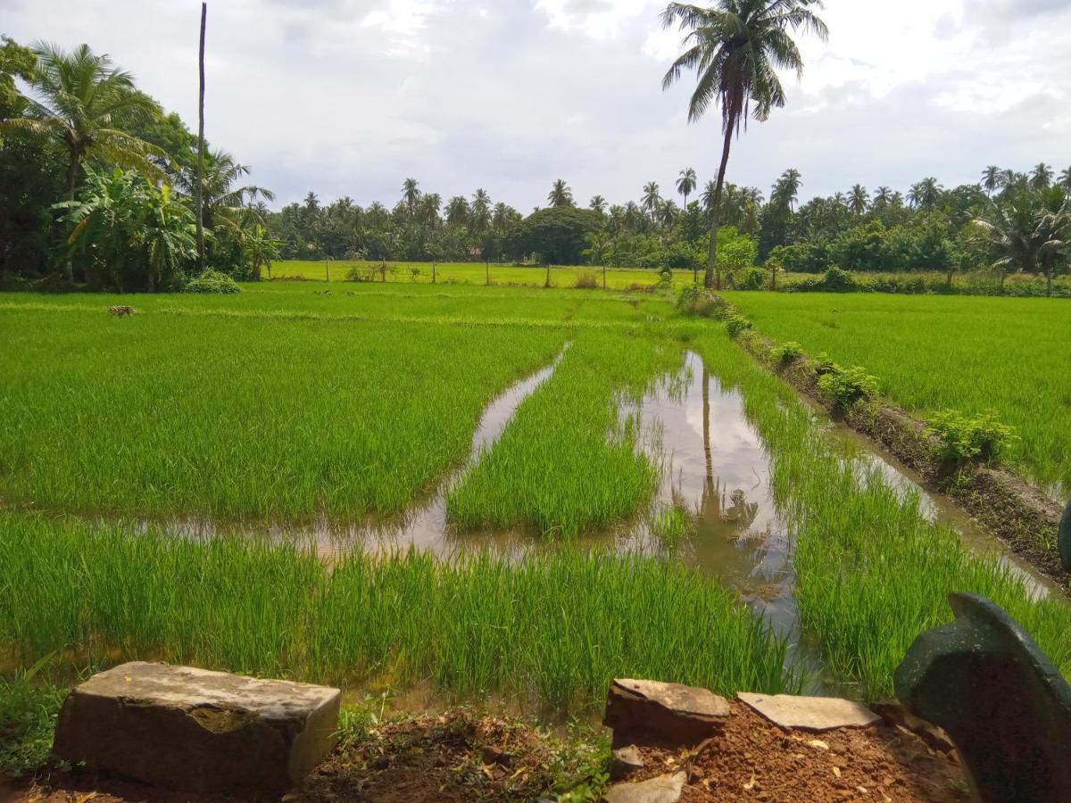 Coconut Island Yala Safari Place ทิซซามาฮารามา ภายนอก รูปภาพ