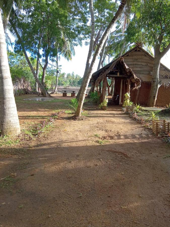 Coconut Island Yala Safari Place ทิซซามาฮารามา ภายนอก รูปภาพ