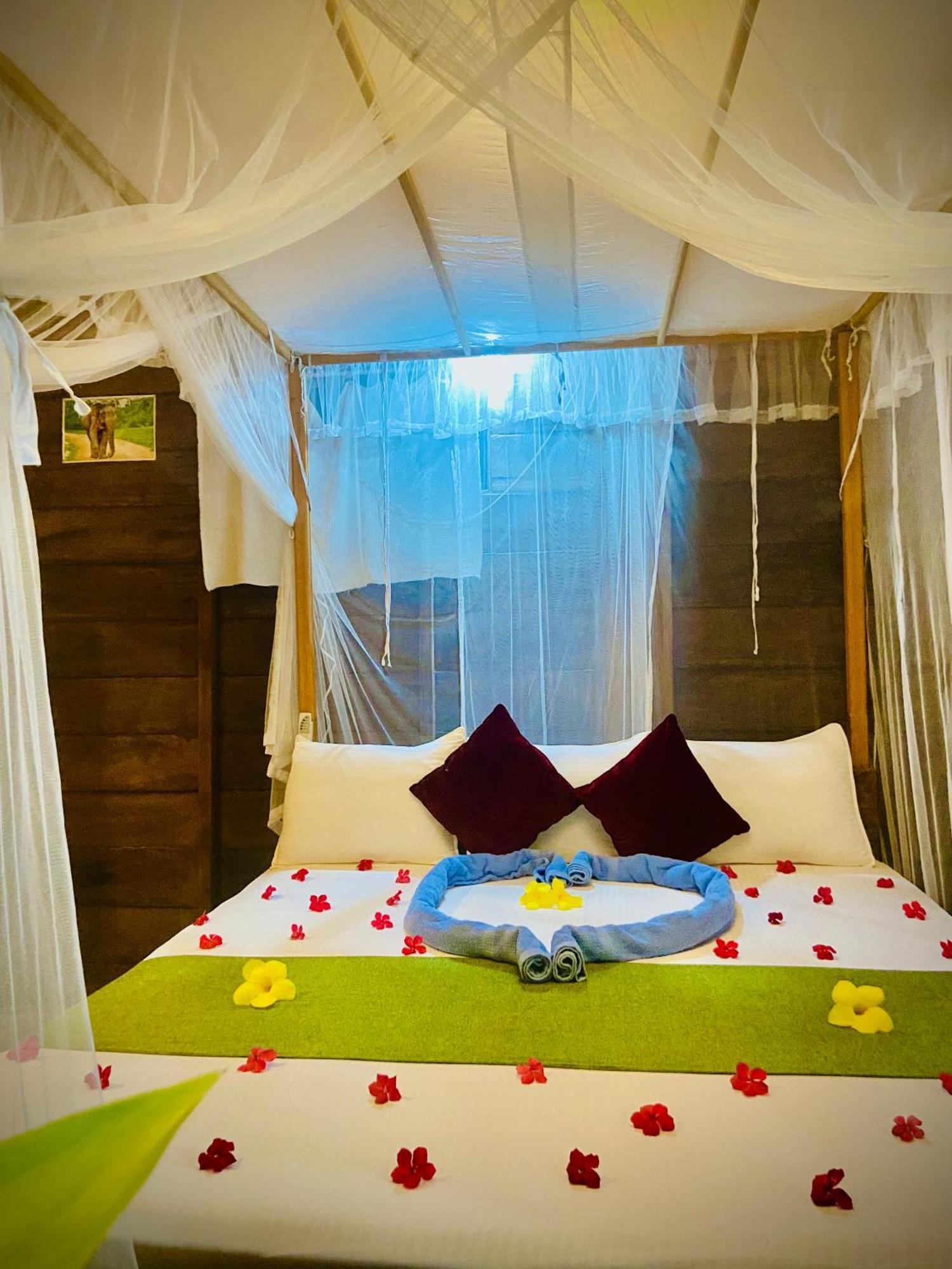 Coconut Island Yala Safari Place ทิซซามาฮารามา ภายนอก รูปภาพ