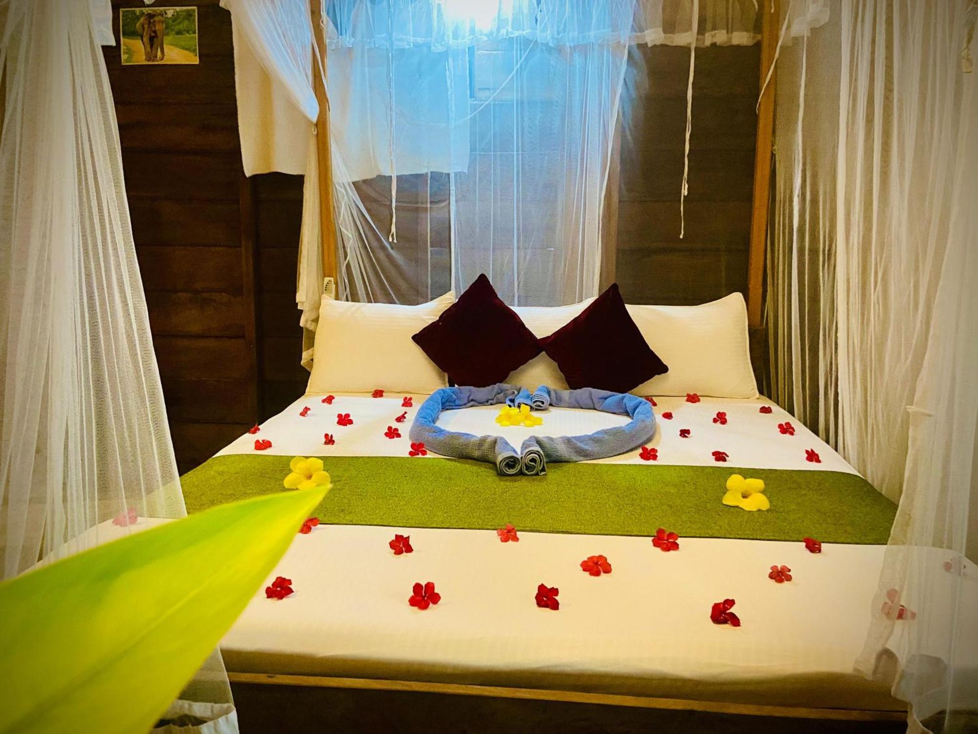Coconut Island Yala Safari Place ทิซซามาฮารามา ภายนอก รูปภาพ