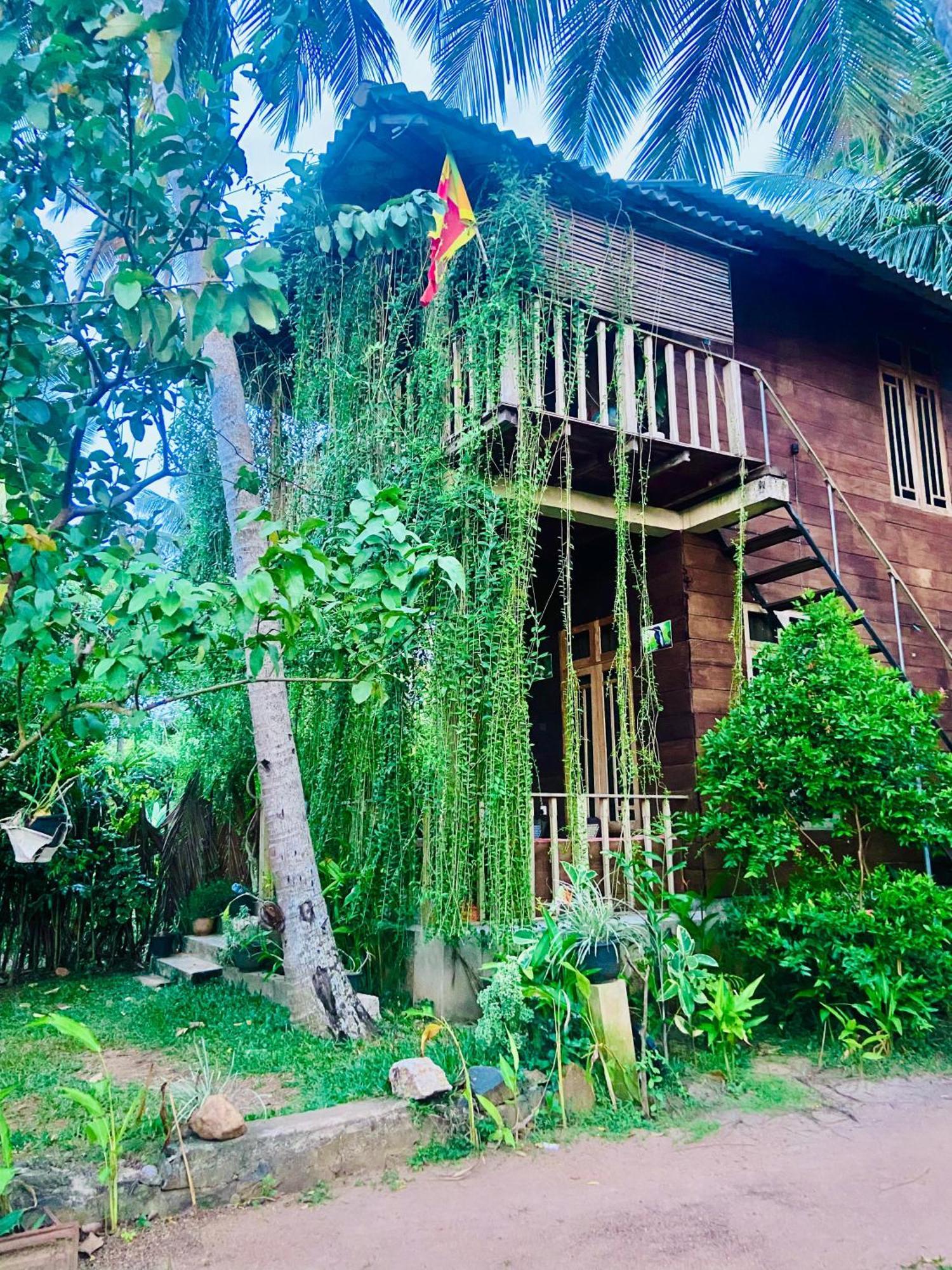 Coconut Island Yala Safari Place ทิซซามาฮารามา ภายนอก รูปภาพ